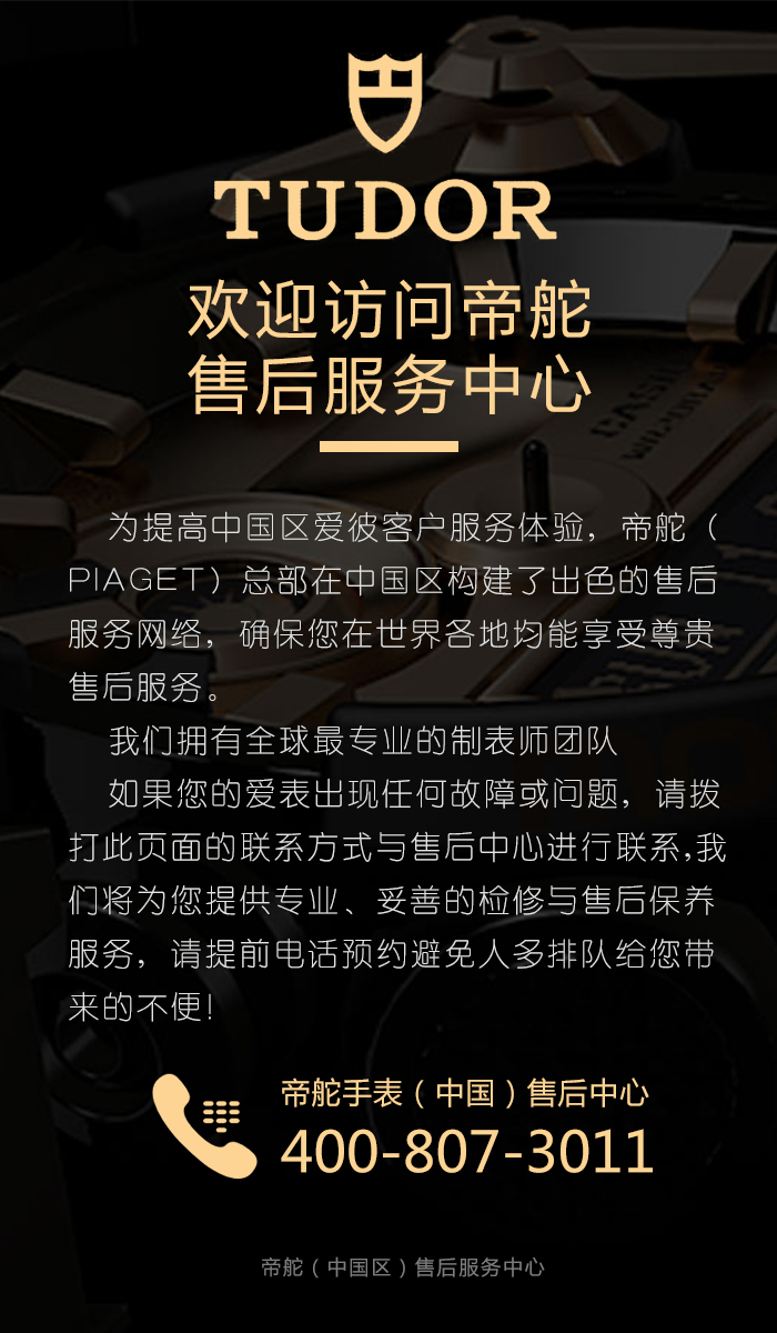 帝舵.jpg